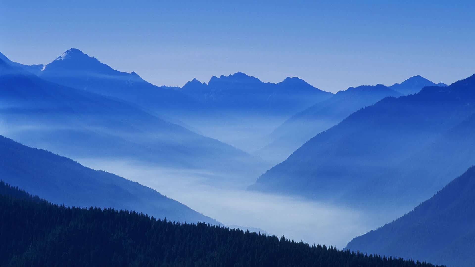 世界举重公开赛数据驱动训练平台上线，世界举重冠军赛